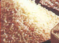 arroz integral