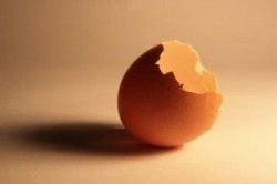 imagem egg